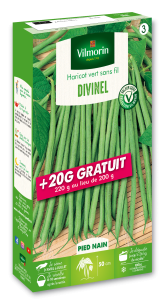 Haricot Nain Vert Divinel + 20 g Offert